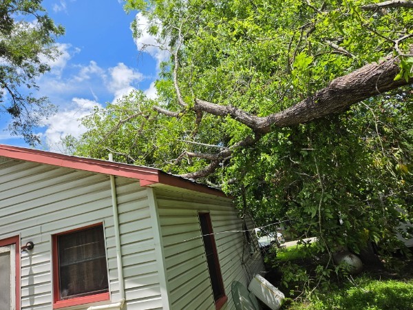 Large limb fallen onto the roof of a home